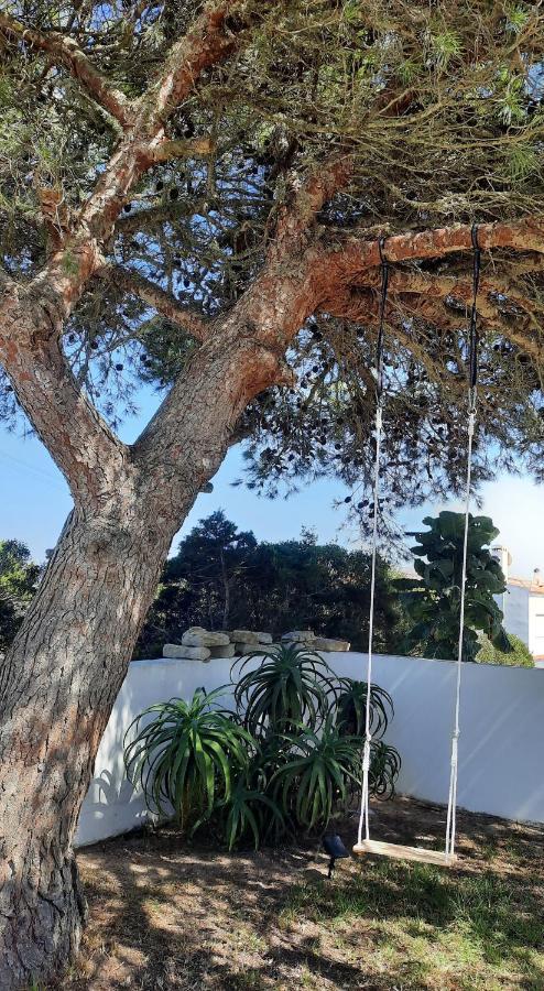 阿尔热祖尔Casa Clerigo Espartal住宿加早餐旅馆 外观 照片